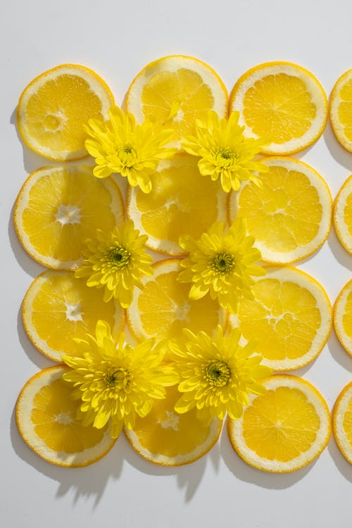 橙片和花的组成 · 免费素材图片