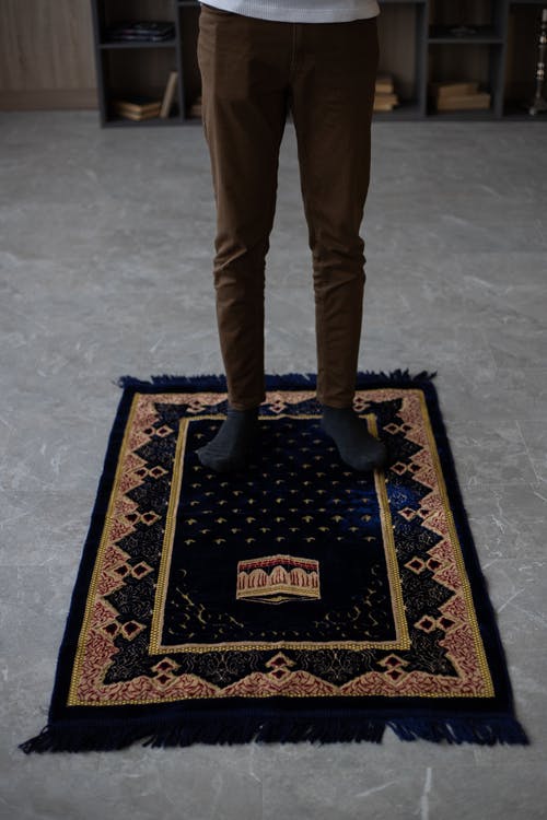 站在棕色和黑色区域地毯上的棕色裤子的人 · 免费素材图片