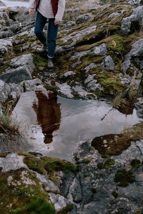 有关不露面, 匿名, 反射的免费素材图片