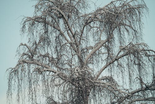 有关不变, 乾的, 从下面的免费素材图片