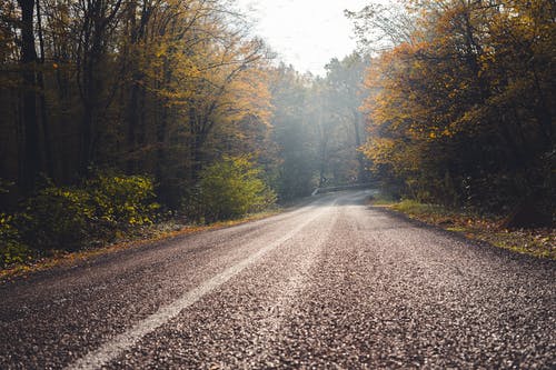 有关之间, 户外, 日光的免费素材图片