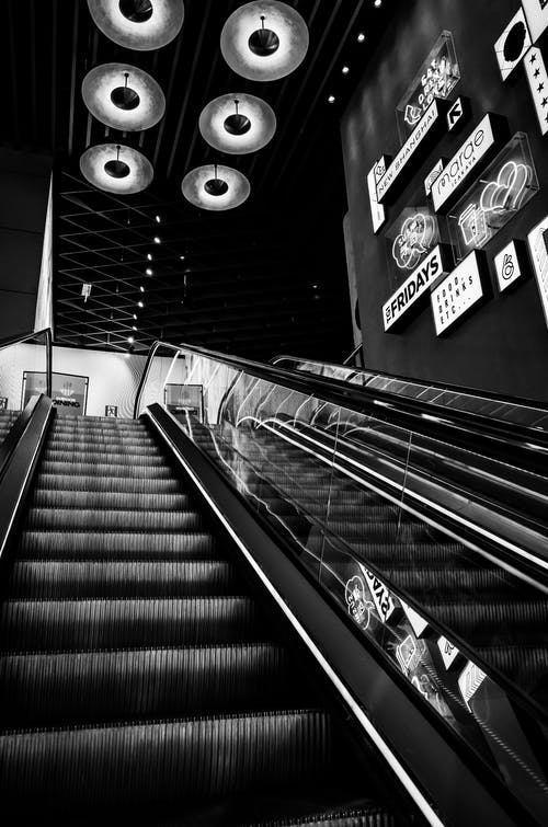 有关低角度拍摄, 单色, 垂直拍摄的免费素材图片