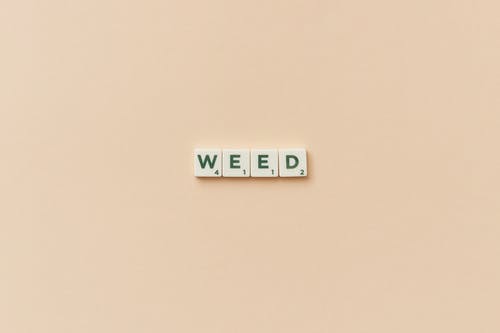 有关信, 向量, 安排的免费素材图片