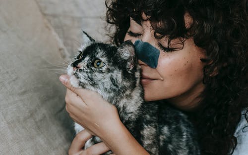 有关一起, 乐天派, 休息的免费素材图片