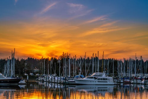 有关日出, 日落, 水上技能的免费素材图片