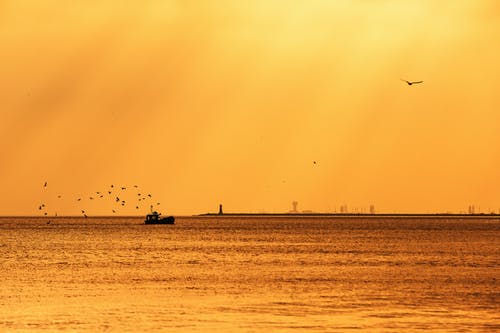 有关假期, 冒险, 冷静的免费素材图片