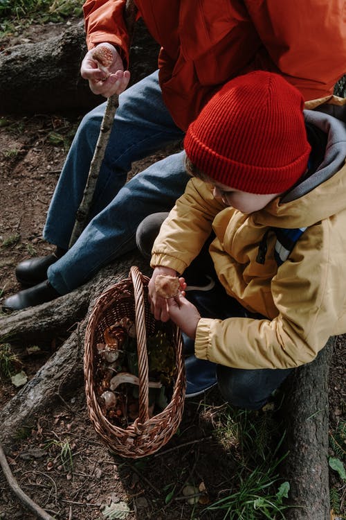 拿着棕色编织的篮子的棕色夹克和红色编织帽的男孩 · 免费素材图片