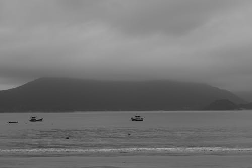 有关天性, 户外, 海的免费素材图片