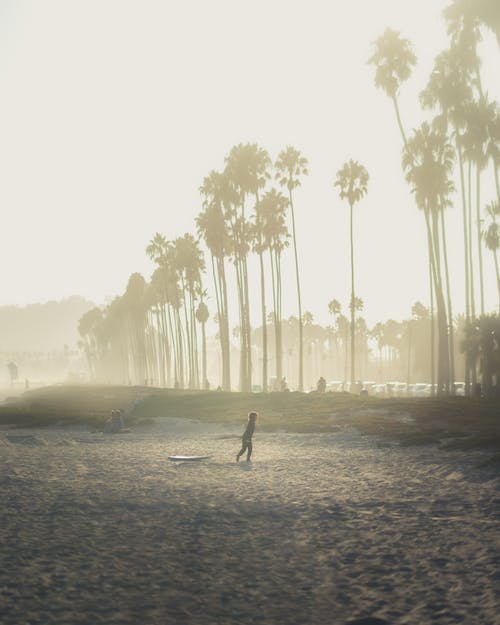 有关不露面, 人, 匿名的免费素材图片