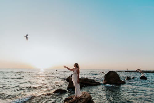 有关Copyspace, 伸手, 佩服的免费素材图片