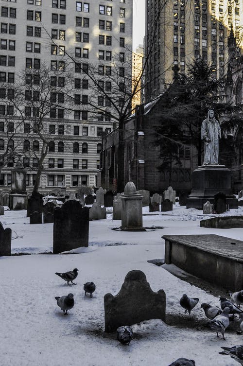 有关垂直拍摄, 墓园, 墓碑的免费素材图片