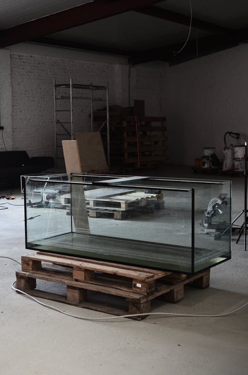 透明玻璃鱼缸棕色木制的桌子上 · 免费素材图片