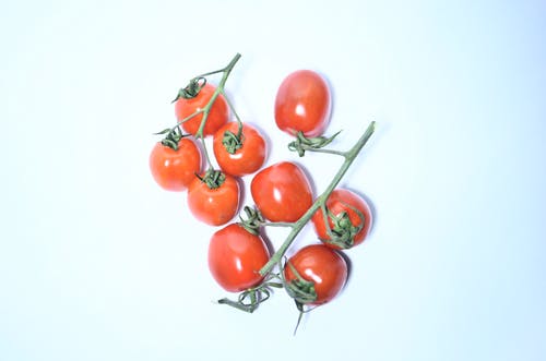 白色背景上的红番茄 · 免费素材图片