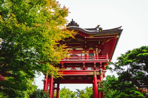 花园中郁郁葱葱的植被中的日本宝塔立面 · 免费素材图片