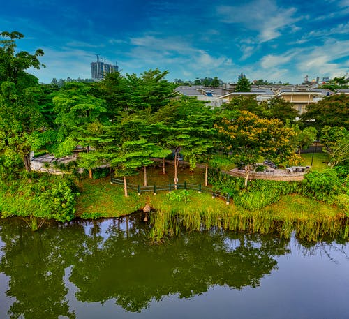 有关公园, 冷静, 反射的免费素材图片