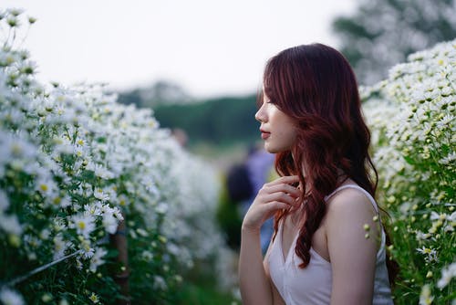 有关侧面图, 冷静, 出现的免费素材图片