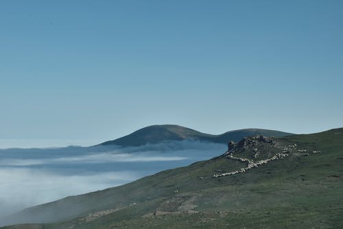 有关天性, 山丘, 有薄雾的的免费素材图片