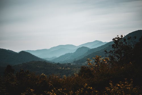 有关不变, 佩服, 冷静的免费素材图片