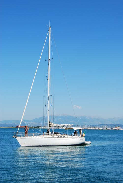 有关垂直拍摄, 天性, 天空的免费素材图片