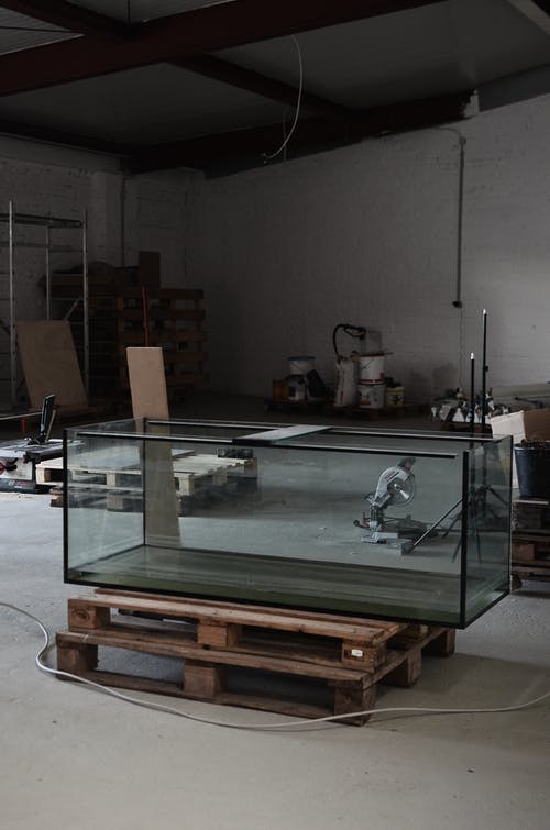 透明玻璃鱼缸棕色木制的桌子上 · 免费素材图片