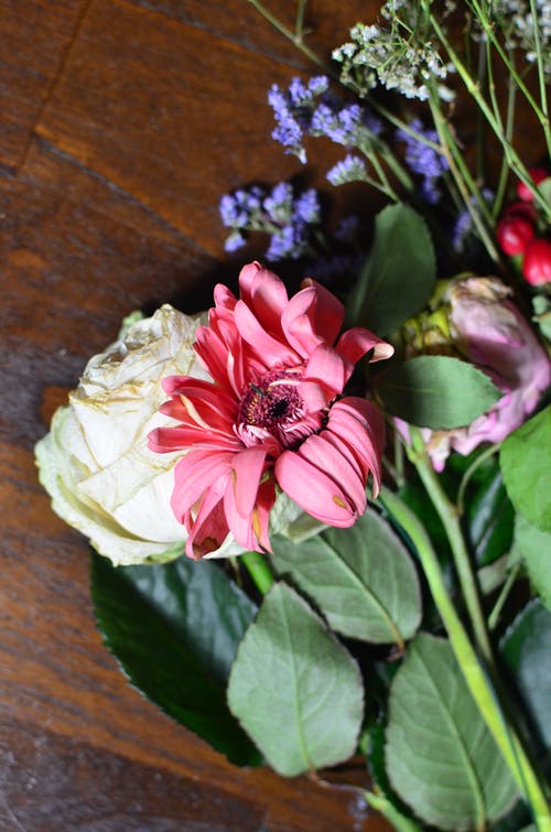 粉色和白色的花，棕色的木桌上 · 免费素材图片