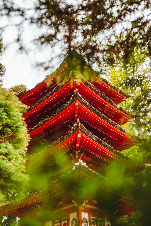 红色亚洲寺庙的门面在绿色公园在阳光下 · 免费素材图片
