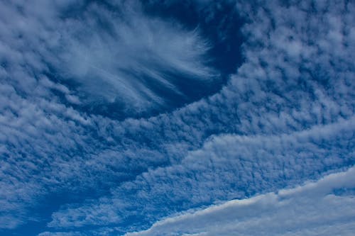 有关卷积云, 蓝天, 云的免费素材图片