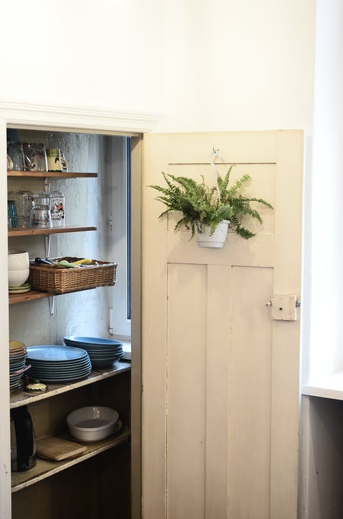 白色的木柜上的绿色植物 · 免费素材图片