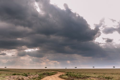 有关不变, 乾的, 和平的的免费素材图片