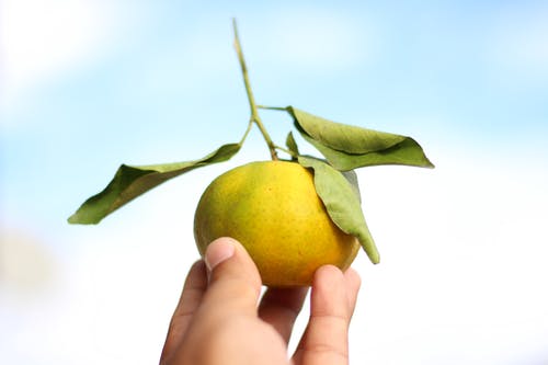 有关多汁的, 成熟, 户外的免费素材图片