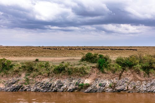 有关乾的, 冷静, 和平的的免费素材图片