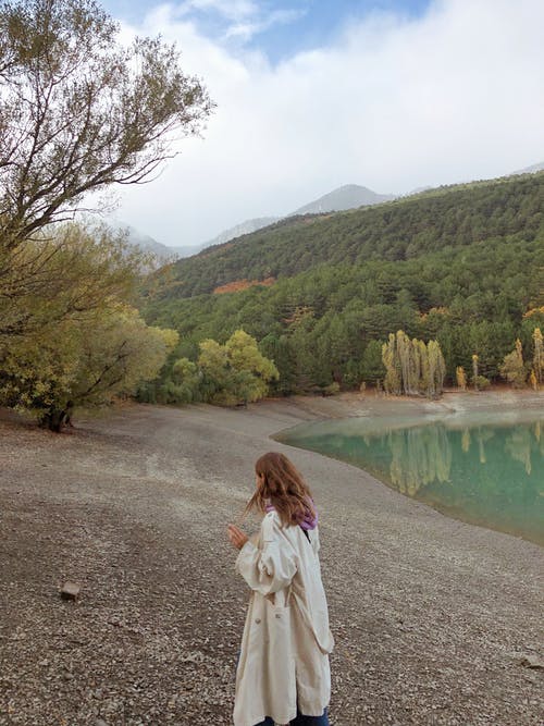 有关享受, 休息, 佩服的免费素材图片