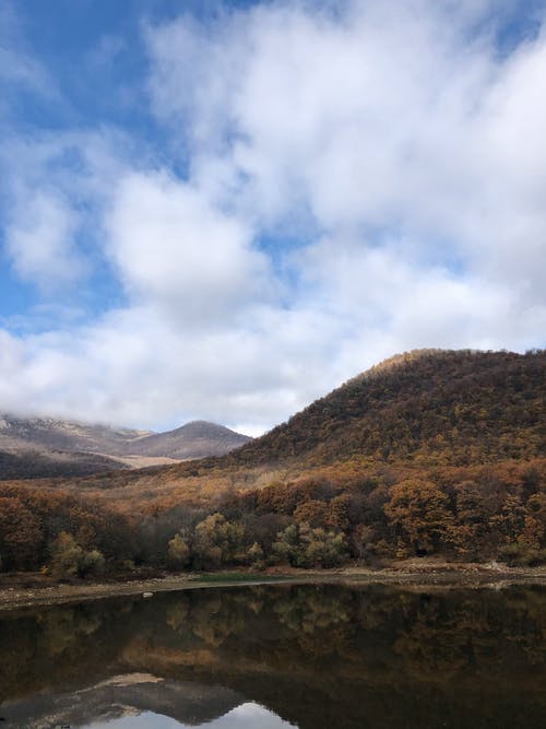 有关下落, 冷静, 反射的免费素材图片