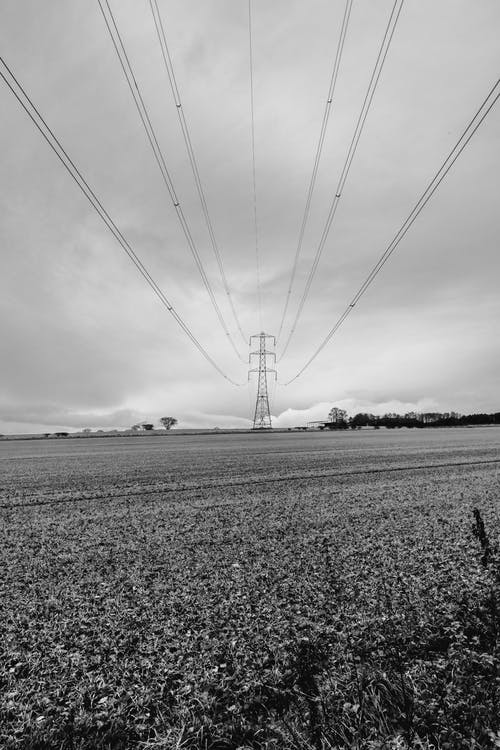 有关单色, 权力, 灰阶的免费素材图片