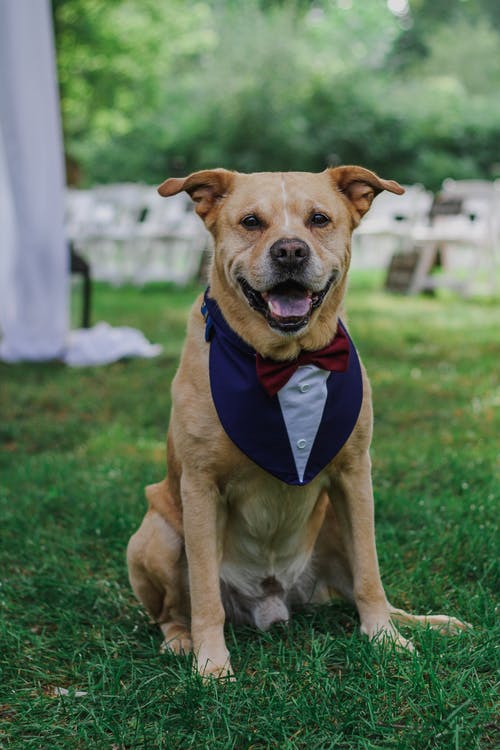 有关事件, 休息, 休闲的免费素材图片