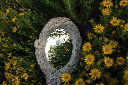 有关戶外, 景深, 木制框的免费素材图片