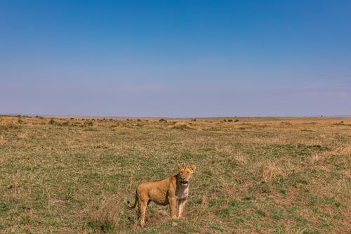 有关保存, 全身, 冷静的免费素材图片