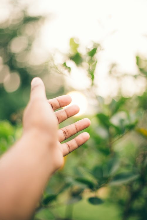 有关垂直拍摄, 手, 景深的免费素材图片
