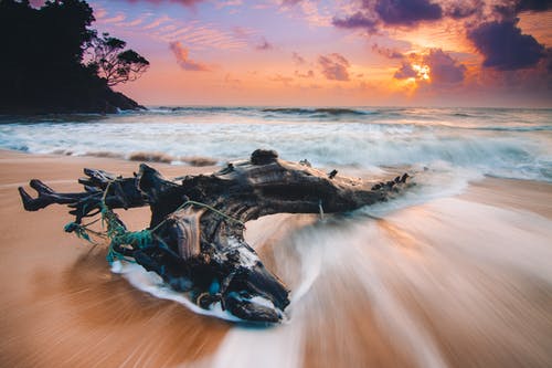 有关华丽的, 和平的, 国家的免费素材图片