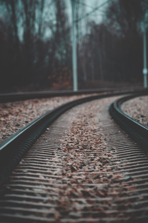 有关垂直拍摄, 枯叶, 视角的免费素材图片