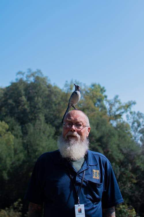 有关polo衫, 人, 在上面的免费素材图片