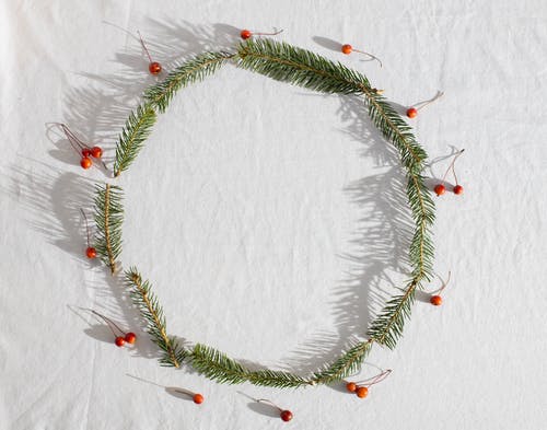 针叶树枝与冬青浆果放在圆形 · 免费素材图片