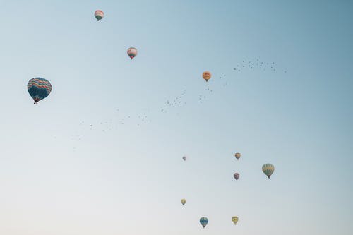 五颜六色的热气球在万里无云的天空中飞行 · 免费素材图片