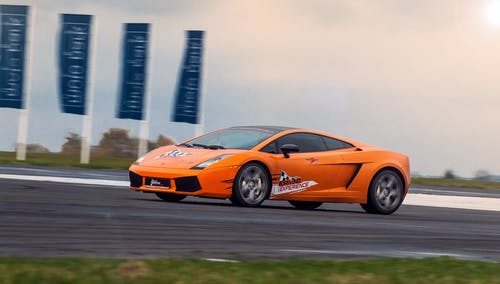 有关不怕, 人种, 保险杠的免费素材图片