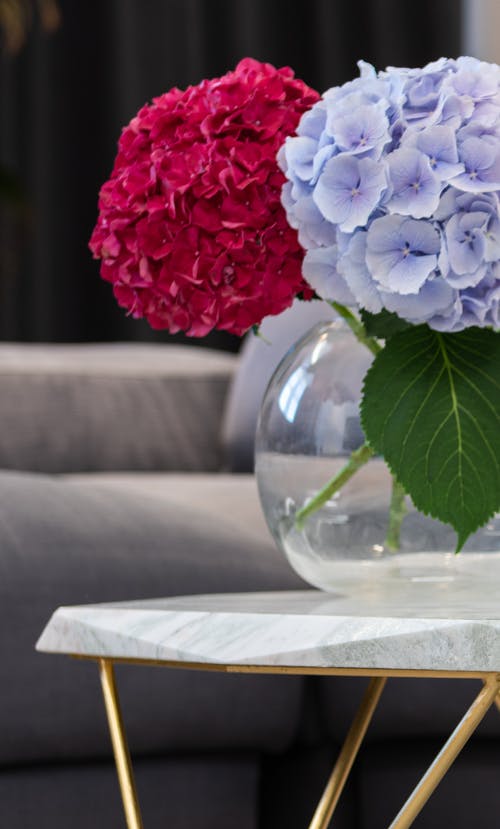 有关一串, 优雅, 元素的免费素材图片