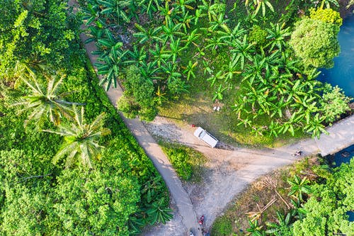 有关SUV, 俯视图, 假期的免费素材图片