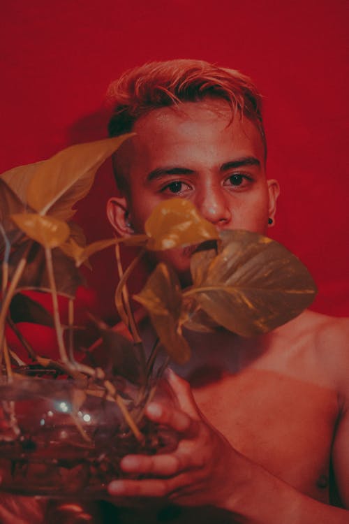 有关个性, 人, 个性的免费素材图片