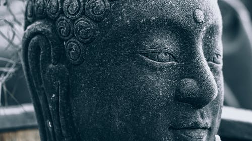 有关佛, 冬季, 冷冰冰的免费素材图片