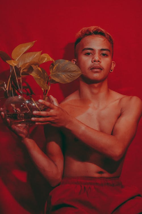 有关个性, 人, 信心的免费素材图片