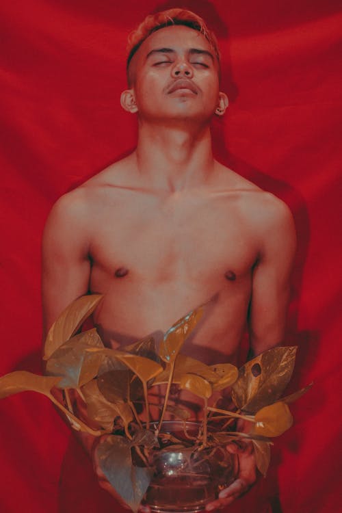 有关个性, 人, 个性的免费素材图片